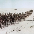 Australian camel corps.